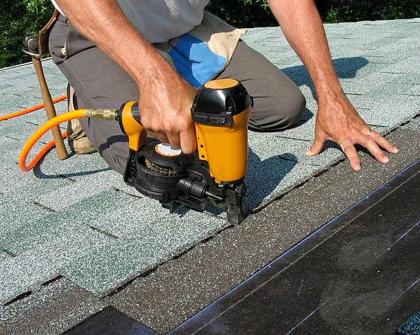 Best Roof Maintenance Services  in Roan Mountain, TN