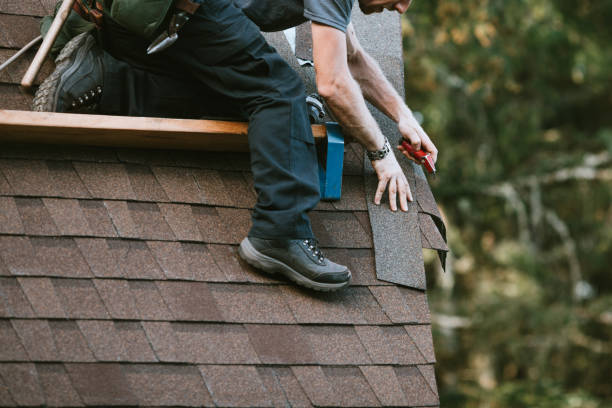 Best Roof Restoration Services  in Roan Mountain, TN